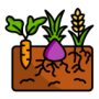 crops