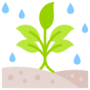 fertility (2)