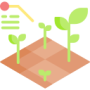 field
